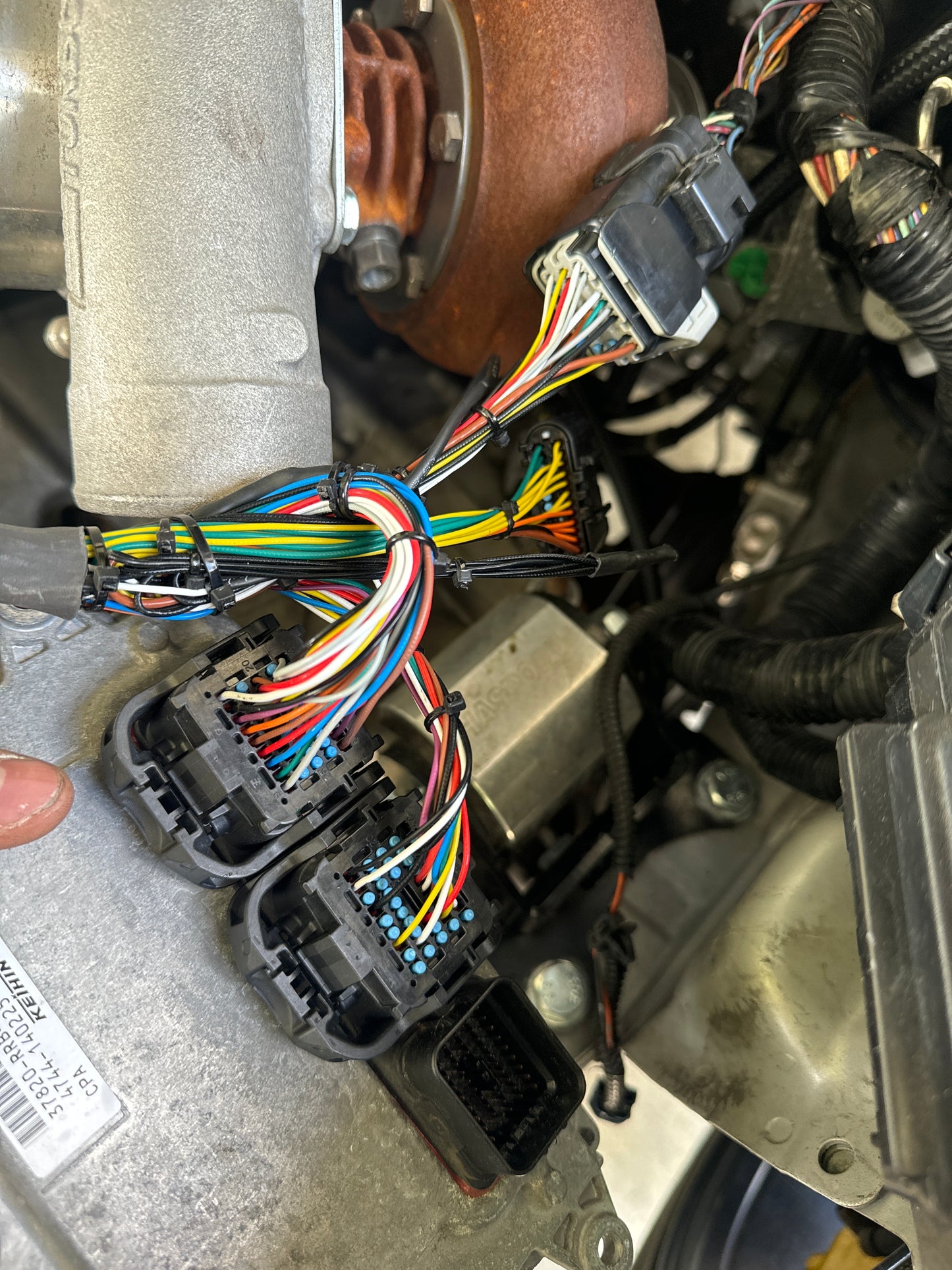 06-11 Civic Si Brand New Tucked Engine Harness