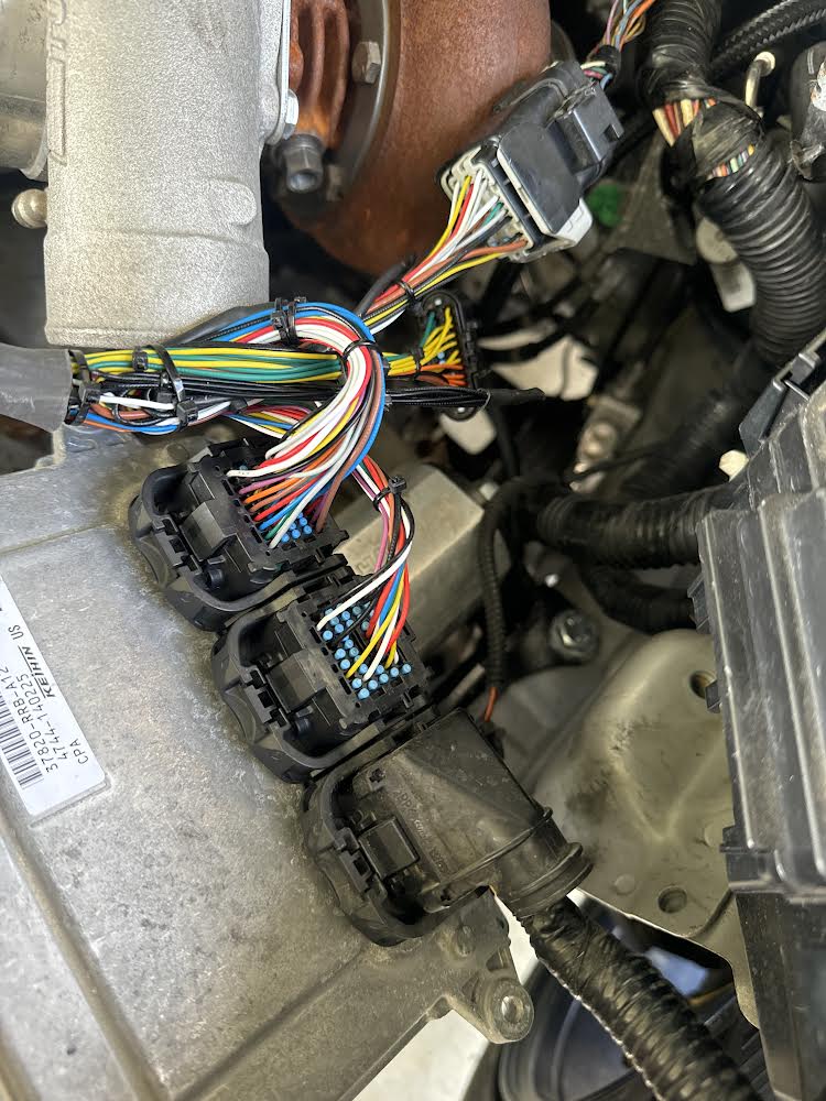 06-11 Civic Si Brand New Tucked Engine Harness