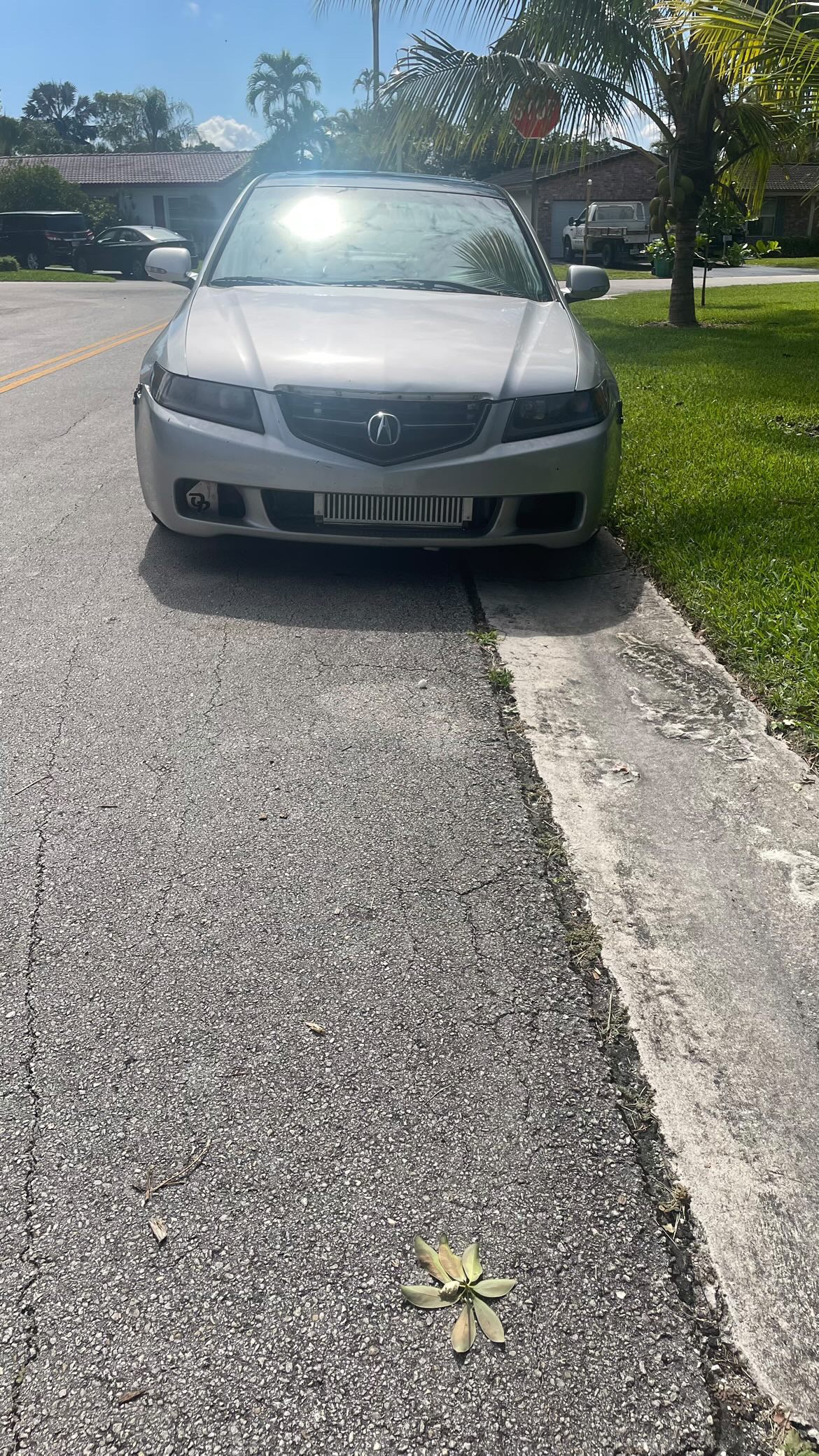 2004-2008 Acura Tsx