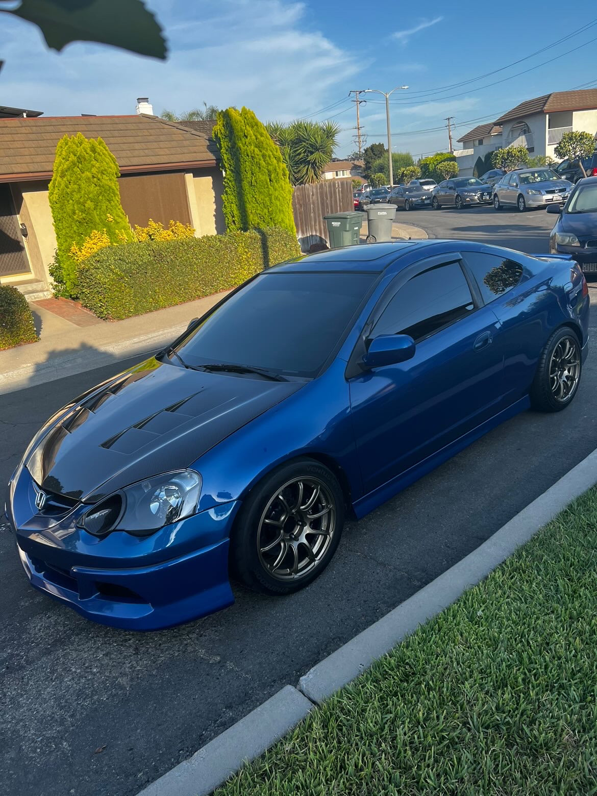 RSX CARBON FIBER WINDOW VISORS/PILLARS/Door Sills