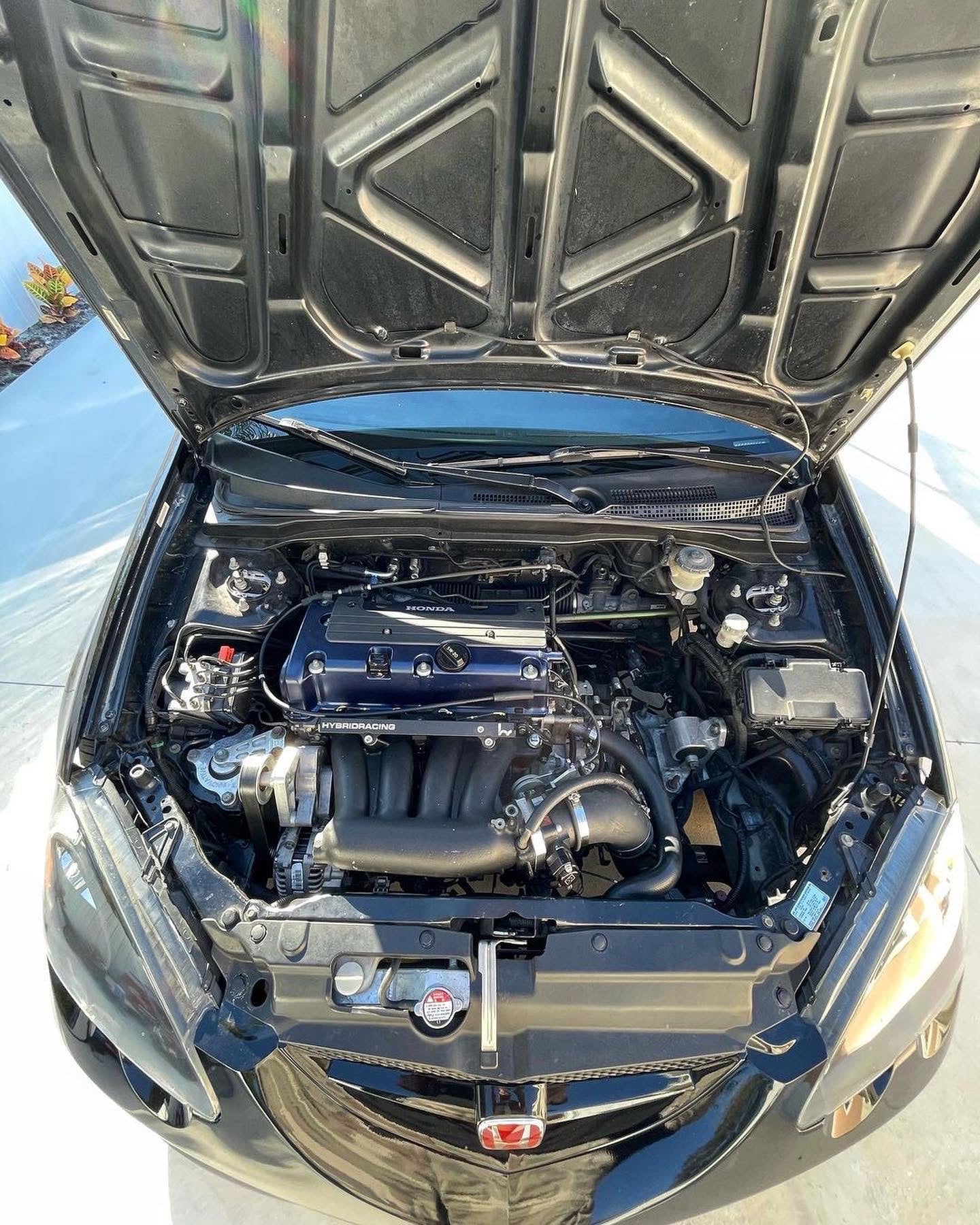 RSX ABS DELETE KIT 2.5