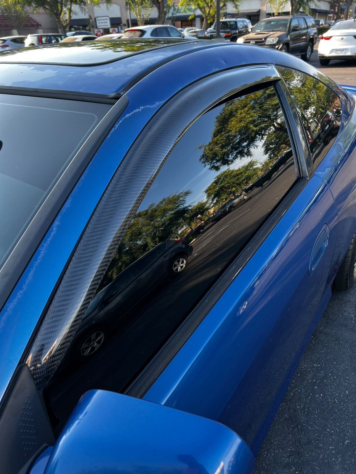 RSX CARBON FIBER WINDOW VISORS/PILLARS/Door Sills