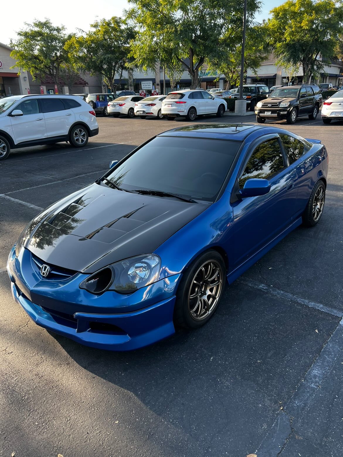 RSX CARBON FIBER WINDOW VISORS/PILLARS/Door Sills