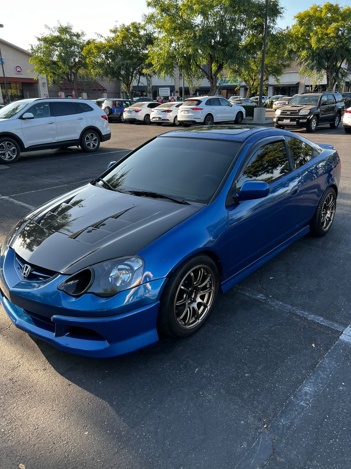 RSX CARBON FIBER WINDOW VISORS/PILLARS/Door Sills