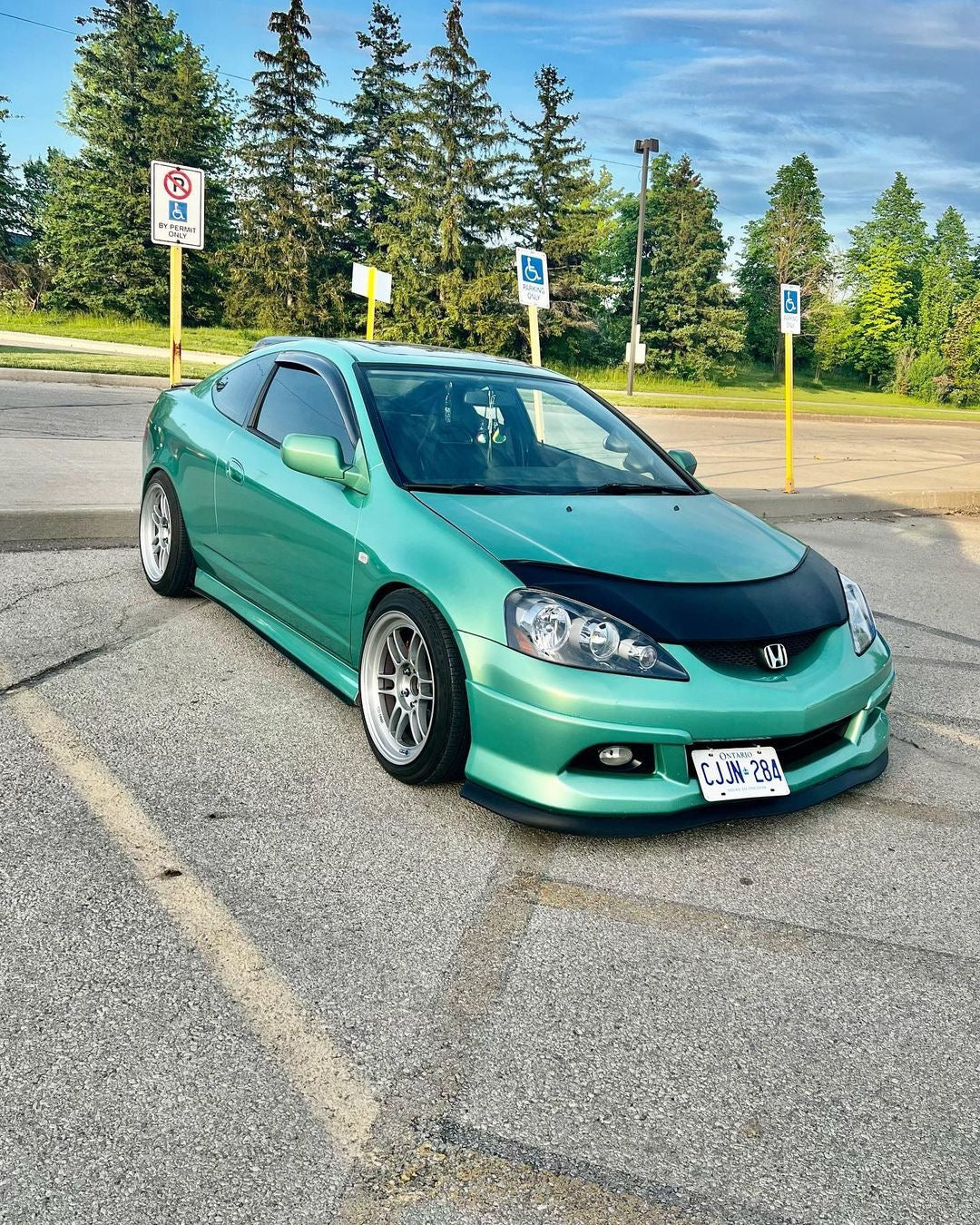 RSX CARBON FIBER WINDOW VISORS/PILLARS/Door Sills