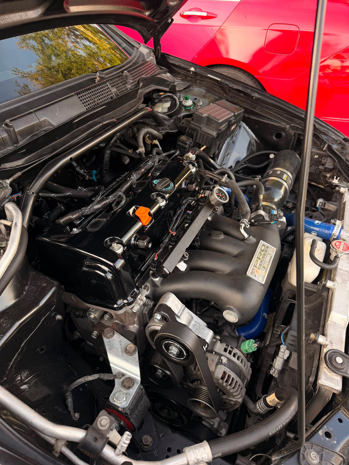 04-08 TSX Engine Harness