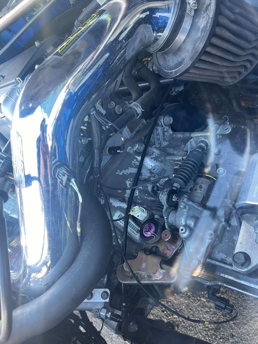 Dc5creations K-Series Engine Harness