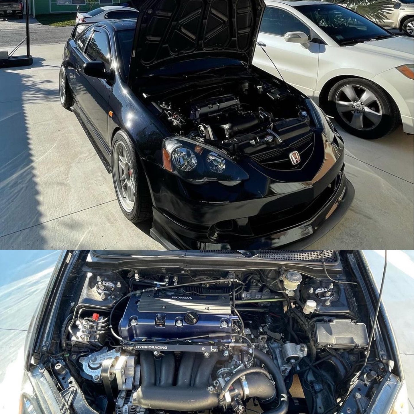 Dc5creations K-Series Engine Harness