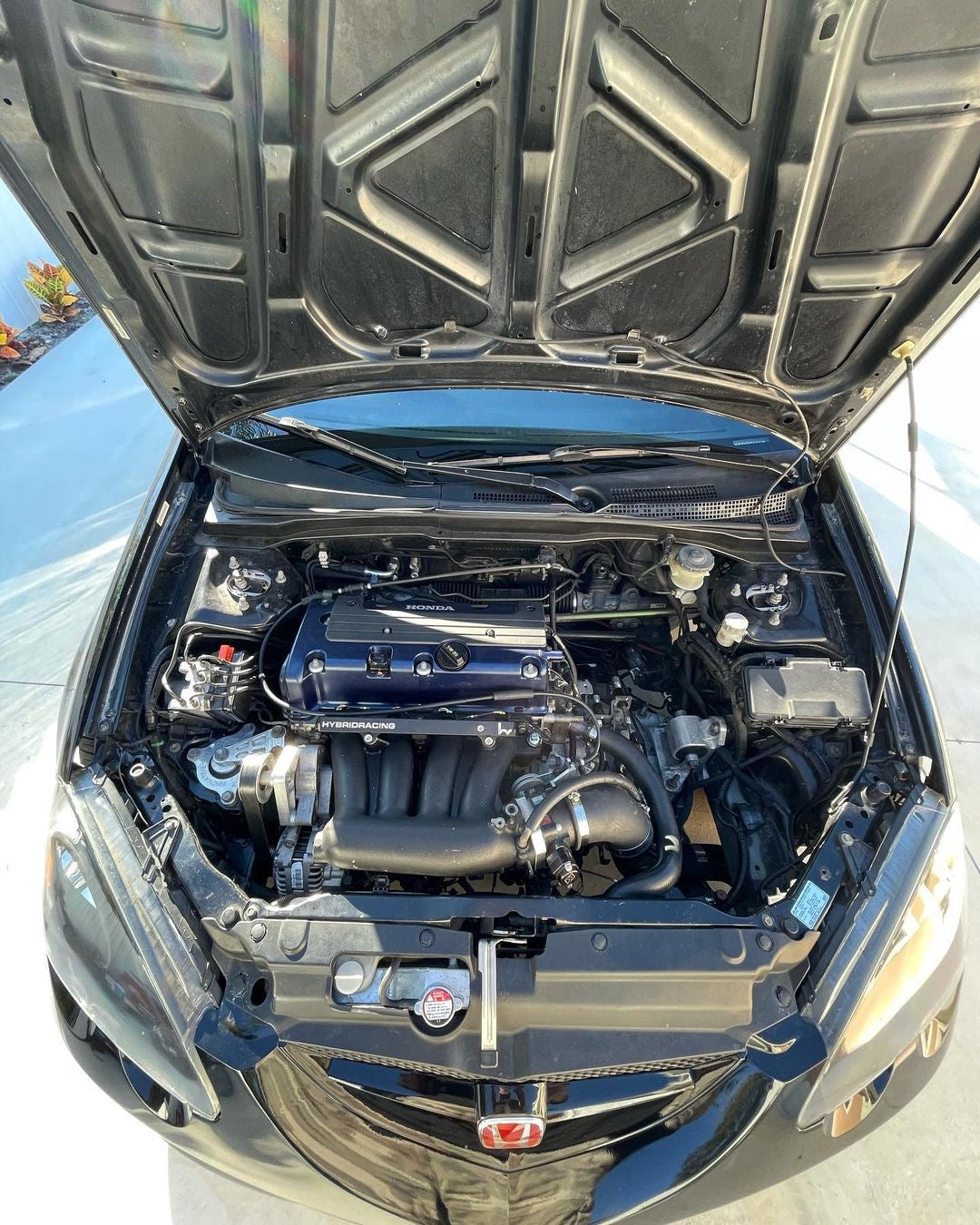 Dc5creations K-Series Engine Harness